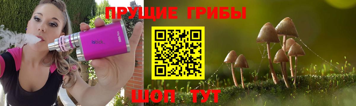 Галлюциногенные грибы GOLDEN TEACHER  где купить наркоту  Псилоцибиновые грибы мухоморы  Ярославль  Вход с VPN 